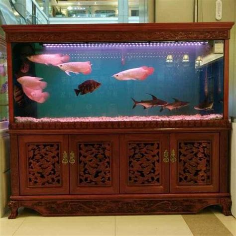 魚缸 風水 51 68公因數